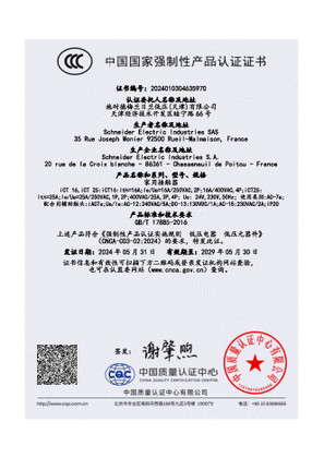  CCC_ iCT16 iCT25 iACTs_ 家用接触器_SAS